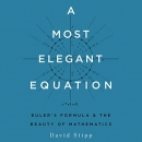 A Most Elegant Equation by David Stipp