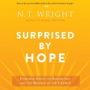 Surprised by Hope by N.T. Wright