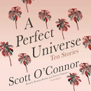 A Perfect Universe by Scott O'Connor