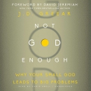 Not God Enough by J.D. Greear
