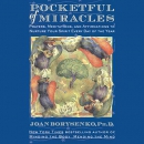 Pocketful of Miracles by Joan Borysenko