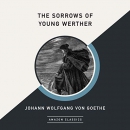 The Sorrows of Young Werther by Johann Wolfgang Goethe