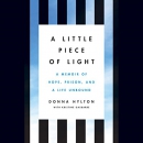 A Little Piece of Light by Donna Hylton