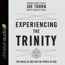 Experiencing the Trinity by Joe Thorn