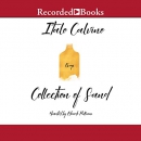 Collection of Sand by Italo Calvino