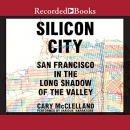 Silicon City by Cary McClelland