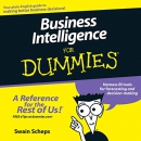 Business Intelligence for Dummies by Swain Scheps