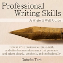 Professional Writing Skills: A Write It Well Guide by Natasha Terk