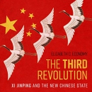 The Third Revolution: Xi Jinping and the New Chinese State by Elizabeth Economy