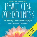 Practicing Mindfulness by Matthew Sockolov