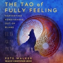 The Tao of Fully Feeling by Pete Walker