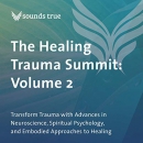 The Healing Trauma Summit: Volume 2 by Bonnie Badenoch