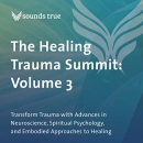 The Healing Trauma Summit: Volume 3 by Stephen W. Porges