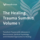 The Healing Trauma Summit: Volume 1 by Peter A. Levine