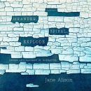 Meander, Spiral, Explode: Design and Pattern in Narrative by Jane Alison