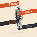 Einstein on the Run by Andrew Robinson