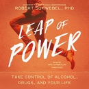 Leap of Power by Robert Schwebel