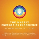 The Matrix Energetics Experience by Richard Bartlett