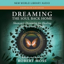 Dreaming the Soul Back Home by Robert Moss