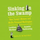 Sinking in the Swamp by Lachlan Markay