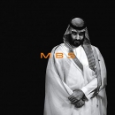 MBS: The Rise to Power of Mohammed bin Salman by Ben Hubbard