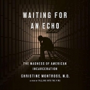 Waiting for an Echo: The Madness of American Incarceration by Christine Montross