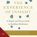 The Experience of Insight by Joseph Goldstein