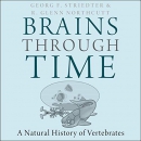 Brains Through Time: A Natural History of Vertebrates by Georg F. Striedter