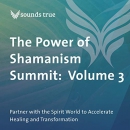 The Power of Shamanism Summit: Volume 3 by Christina Pratt