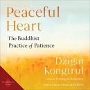 Peaceful Heart: The Buddhist Practice of Patience by Dzigar Kongtrul