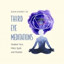 Third Eye Meditations by Susan Shumsky