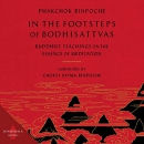 In the Footsteps of Bodhisattvas by Phakchok Rinpoche