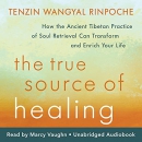 The True Source of Healing by Tenzin Wangyal Rinpoche
