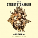 From the Streets of Shaolin by S.H. Fernando, Jr.