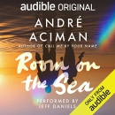 Room on the Sea by Andre Aciman