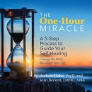 The One-Hour Miracle by Andrew Hahn