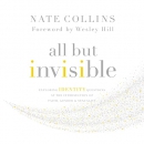 All But Invisible by Nate Collins