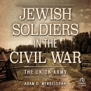 Jewish Soldiers in the Civil War by Adam D. Mendelsohn