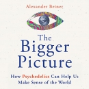 The Bigger Picture by Alexander Beiner