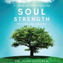 Soul Strength: Rhythms for Thriving by Alan Ahlgrim