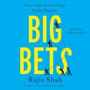Big Bets: How Large-Scale Change Really Happens by Rajiv Shah