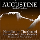 Homilies on the Gospel According to St. John Volume 4 by Saint Augustine