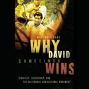 Why David Sometimes Wins by Marshall Ganz