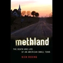Methland: The Death and Life of an American Small Town by Nick Reding