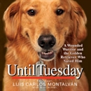 Until Tuesday by Luis Carlos Montalvan