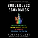 Borderless Economics by Robert Guest