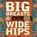 Big Breasts and Wide Hips by Mo Yan