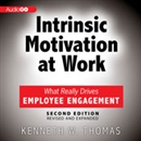 Intrinsic Motivation at Work: What Really Drives Employee Engagement by Kenneth Thomas