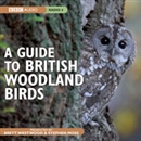 A Guide to British Woodland Birds by Stephen Moss