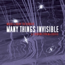 Many Things Invisible by Carrington MacDuffie